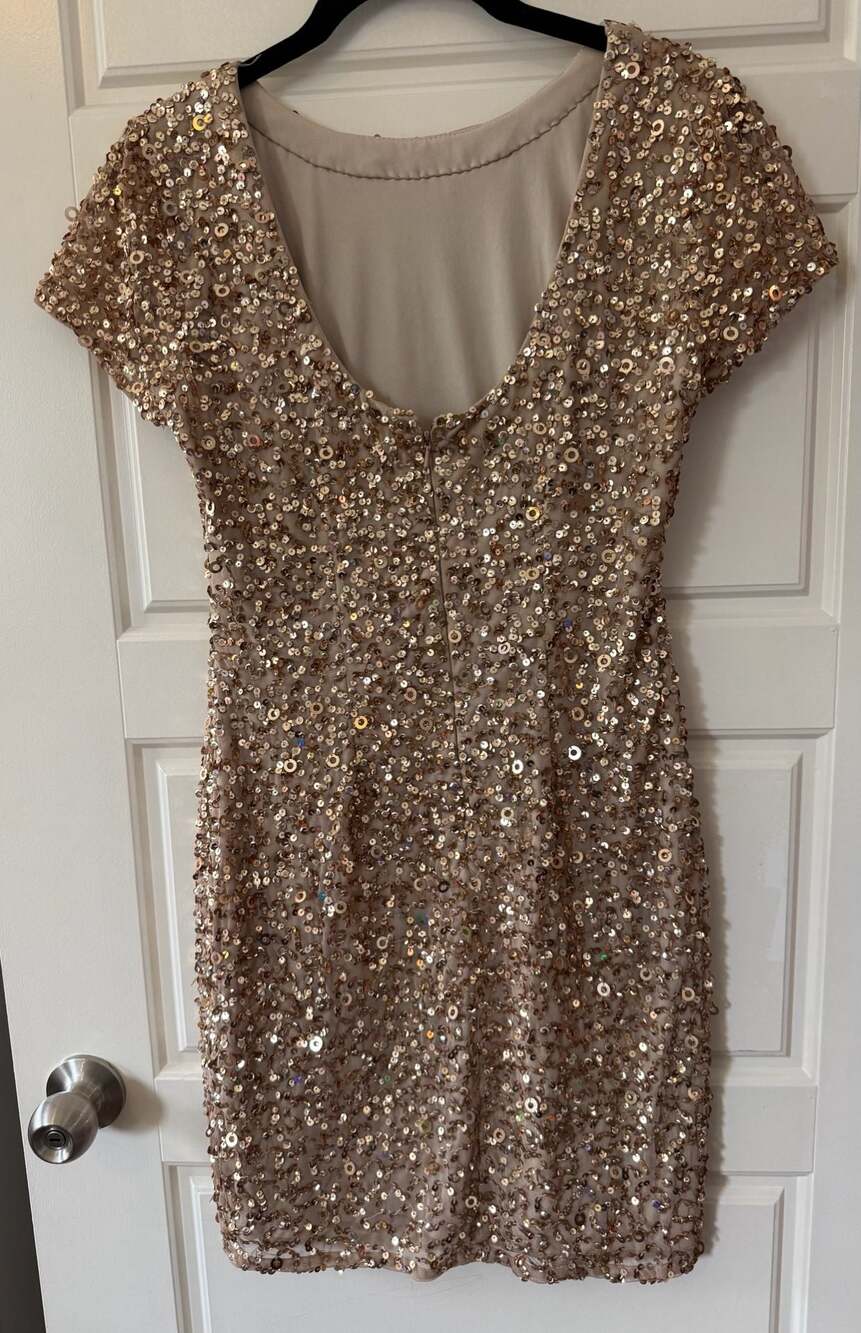 Adrianna Papell Short Sleeve Scoop Back Champagne Gold Sequin Dress 6 Petite - Picture 5 of 9